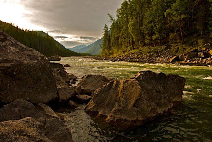 Salmon River, ID